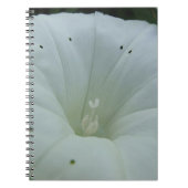Weisser Blütenkelch Notizblock (Vorderseite)