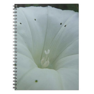 Weisser Blütenkelch Notizblock
