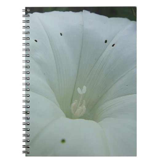 Weisser Blütenkelch Notizblock (Vorderseite)