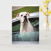 Weißer Boxer im Auto Karte (Gelbe Blume)