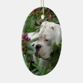 Weißer Boxer in rosa Rhodies Keramikornament (Rechts)