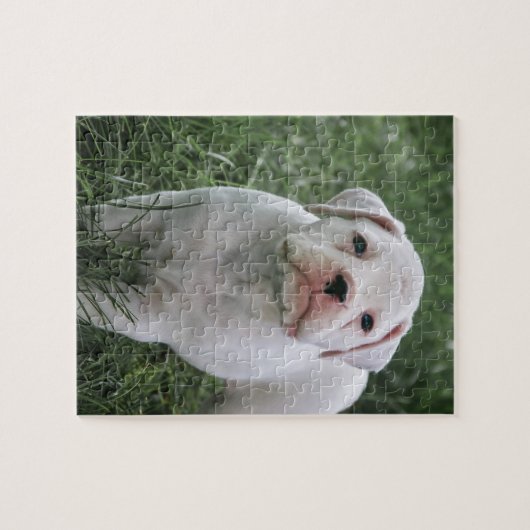Weißer Boxer-Puzzle Puzzle (Horizontal)