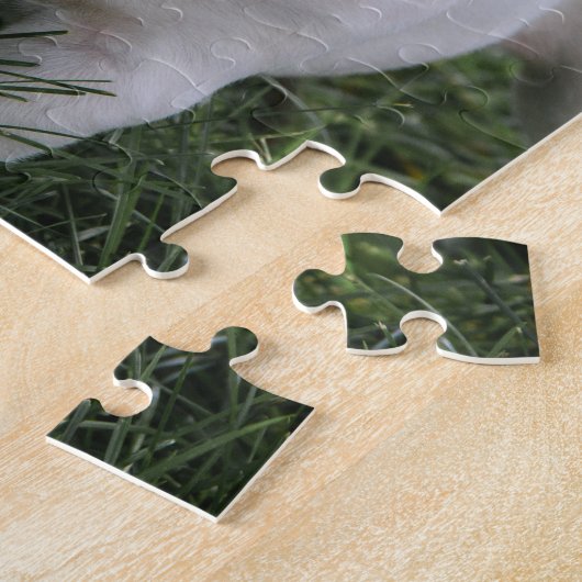 Weißer Boxer-Puzzle Puzzle (Seite)