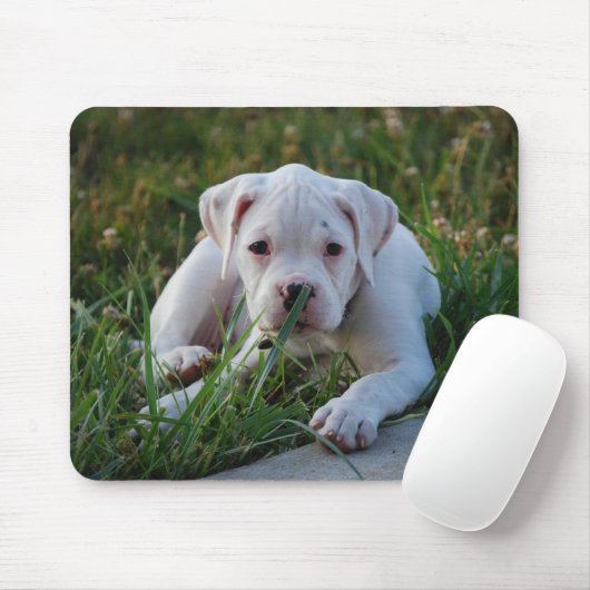 Weißer Boxer-Welpe Mousepad (Mit Mouse)