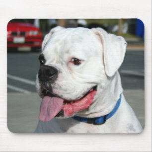 Weißer Boxermousepad Mousepad