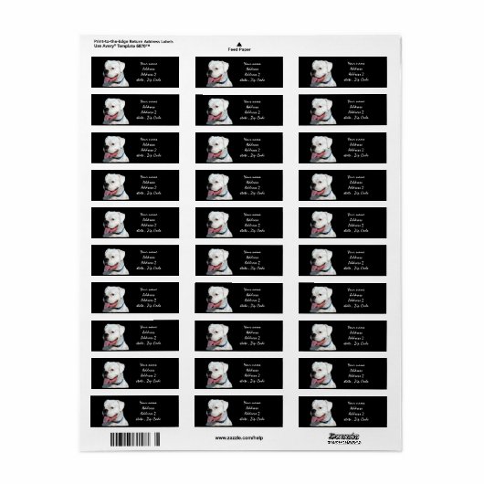 Weißer Boxhund (Vorne)