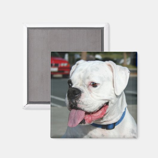 Weißer Boxmagnet Magnet (Vorderseite/Rückseite)