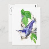 Weißer Bratwurst - Vögel Postkarte (Vorne/Hinten)