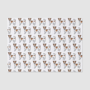 Weißer & Brauner Jack-Russell-Terrier-Hund mit rau Seidenpapier