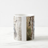 Weißer-breasted Kleiber Kaffeetasse (Mittel)