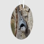 Weißer-breasted Kleiber Ornament (Vorderseite)