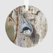 Weißer-breasted Kleiber Ornament (Rückseite)