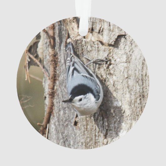 Weißer-breasted Kleiber Ornament (Rückseite)