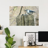 Weißer Brustkern mit Samen-Poster Poster (Heimbüro)