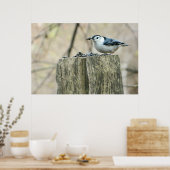 Weißer Brustkern mit Samen-Poster Poster (Küche)