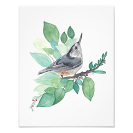 Weißer Brustvogel Fotodruck