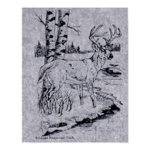 Weißer Buchenbrauer-Buchse Zeichnend Bach