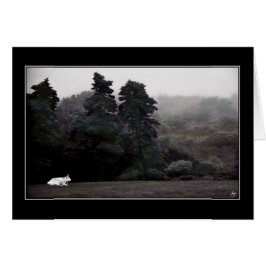 Weißer Bull gegen eine gemalte Waldkarte