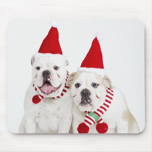 Weißer Bulldog Mousepad (Vorne)