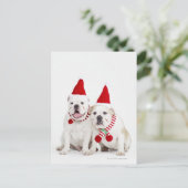 Weißer Bulldog Postkarte (Stehend Vorderseite)