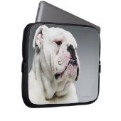 Weißer Bullenhund Laptopschutzhülle (Vorne Rechts)