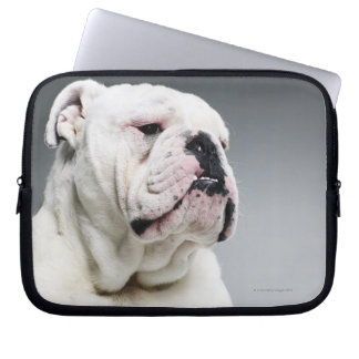 Weißer Bullenhund Laptopschutzhülle