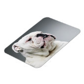Weißer Bullenhund Magnet (Linke Seite)