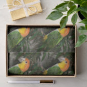 Weißer Bündner Kaiken-Papagei mit Bambusbaum Seidenpapier (Geschenk)