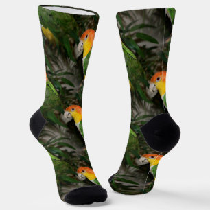 Weißer Bündner Kaikpapagei mit Bambusbaum Socken
