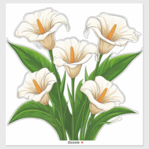 Weißer Calla-Lilien-Strauß mit grünen Blättern Aufkleber