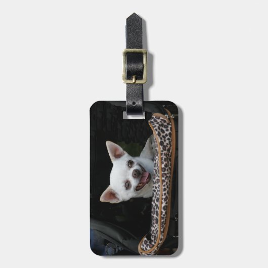 Weißer Chihuahua-Gepäckanhänger Gepäckanhänger (Vorderseite vertikal)