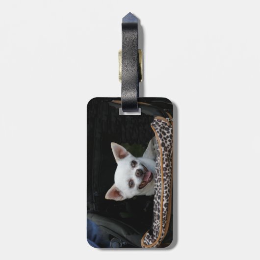 Weißer Chihuahua-Gepäckanhänger Gepäckanhänger (Rückseite vertikal)