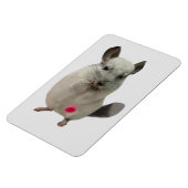 Weißer Chinchilletasse Magnet (Linke Seite)