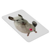 Weißer Chinchilletasse Magnet (Rechte Seite)