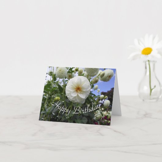 Weißer Dahlia Geburtstag Karte (Kleines Gewächs)
