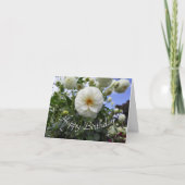 Weißer Dahlia Geburtstag Karte (Vorderseite)