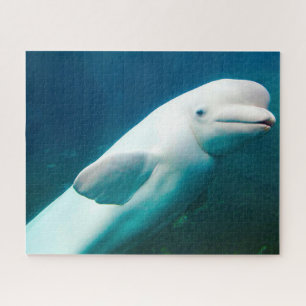 Weißer Delfin Puzzle