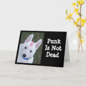 Weißer Deutscher Hirte w. Mohawk Karte (Gelbe Blume)