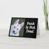 Weißer Deutscher Hirte w. Mohawk Karte (Vorderseite)