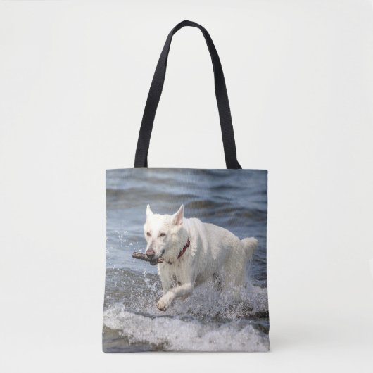 Weißer deutscher Schäfer auf See George Tasche (Vorderseite)