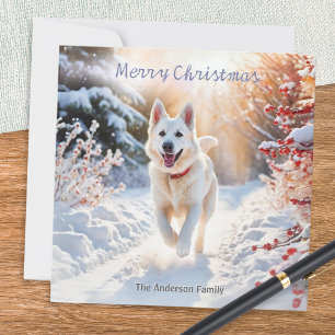 Weißer Deutscher Schäferhund Alsatian Weihnachten