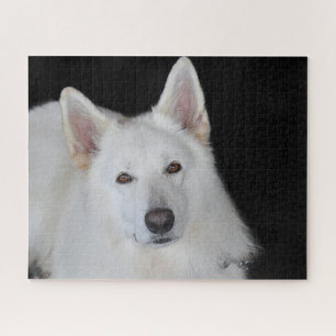 Weißer Deutscher Schäferhund Jigsaws. Puzzle