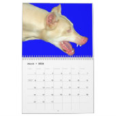 Weißer Dobermann-Kalender Kalender (Mär 2026)