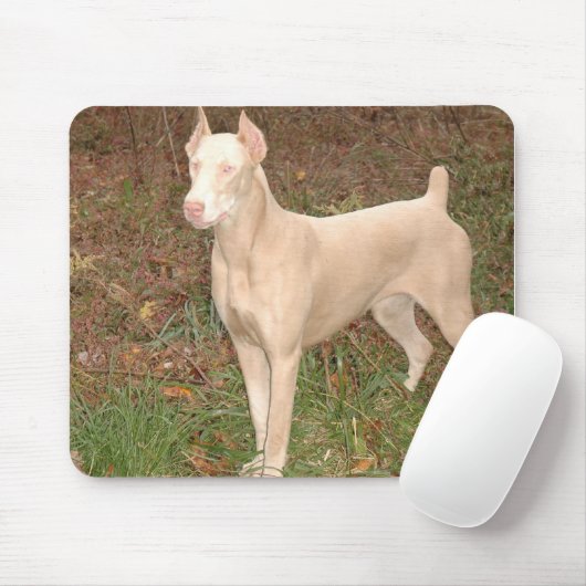 weißer Dobermann Mousepad (Mit Mouse)