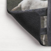 Weißer Donkey in Österreich-Ungarn Mousepad (Ecke)