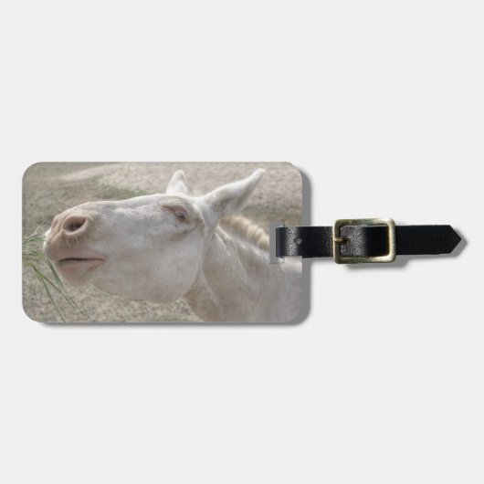 Weißer Donkey (Österreich-Ungarn) Gepäckanhänger (Vorderseite horizontal)