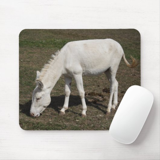 Weißer Donkey (Österreich-Ungarn) Mousepad (Mit Mouse)