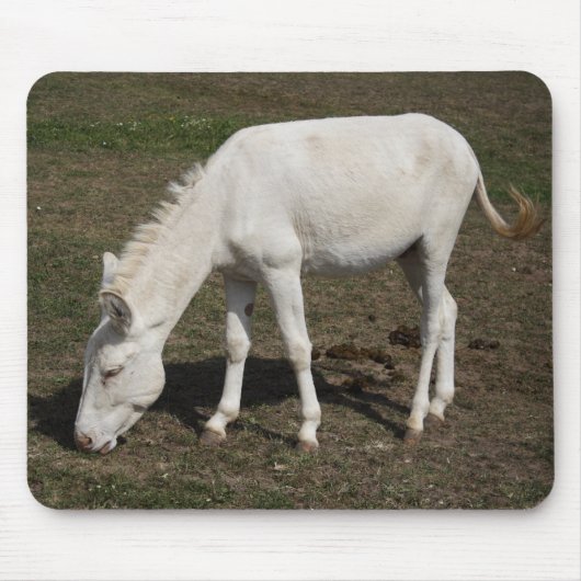 Weißer Donkey (Österreich-Ungarn) Mousepad (Vorne)