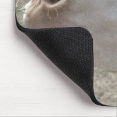 Weißer Donkey (Österreich-Ungarn) Mousepad (Ecke)