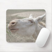 Weißer Donkey (Österreich-Ungarn) Mousepad (Mit Mouse)